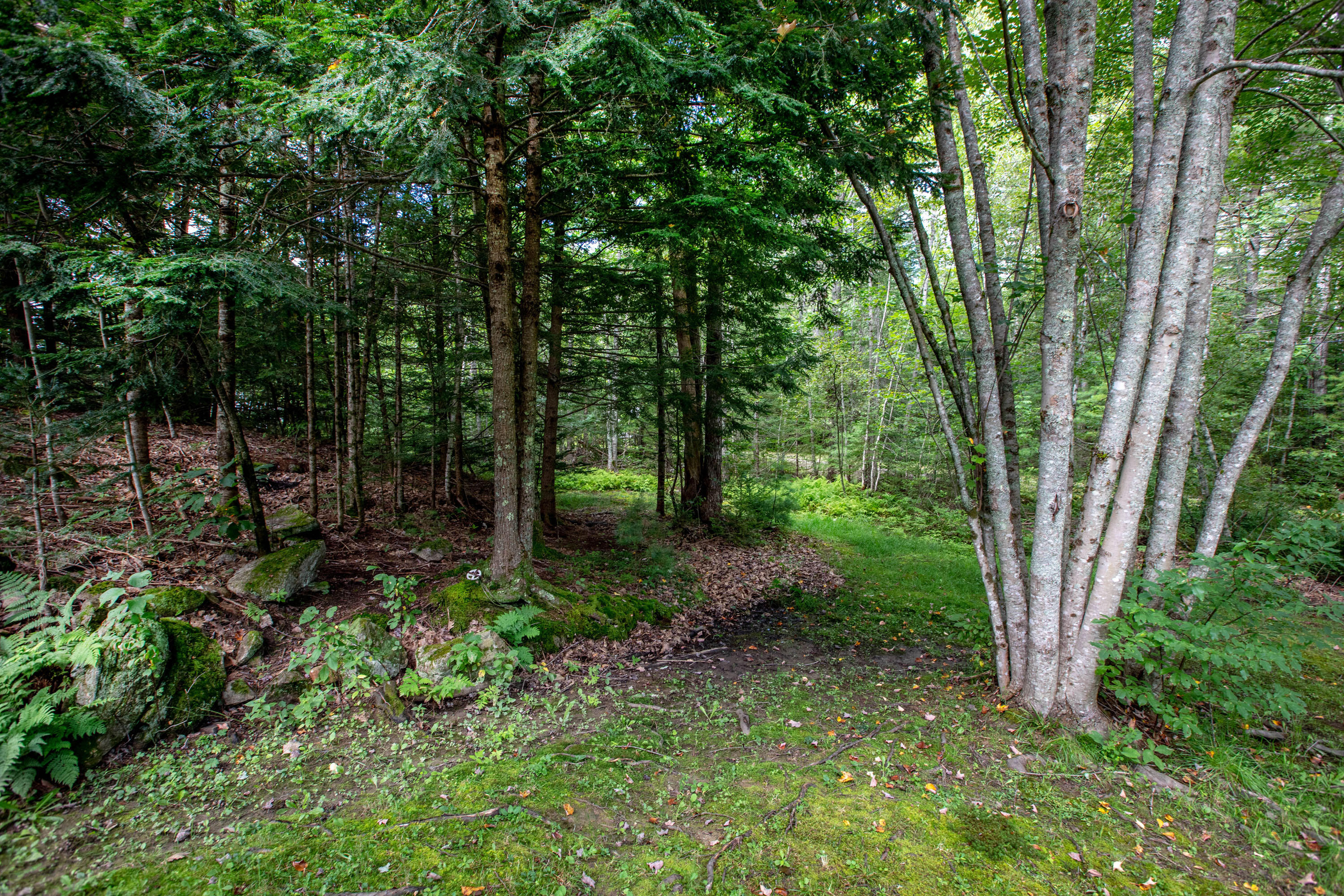 130 Old Dresden Road Wiscasset, ME 04578 - Photo 14 of 49 Old Dresden_Dunbar_15