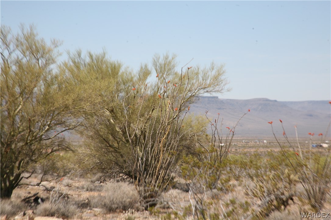 245-24-067a Lorton Road Yucca, AZ 86438 - Photo 24 of 42