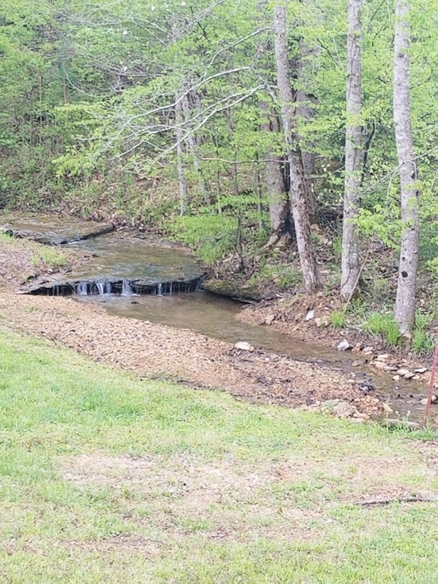 254 Robert Hensley Road Hohenwald, TN 38462 - Photo 4 of 33 Gallery Image 4