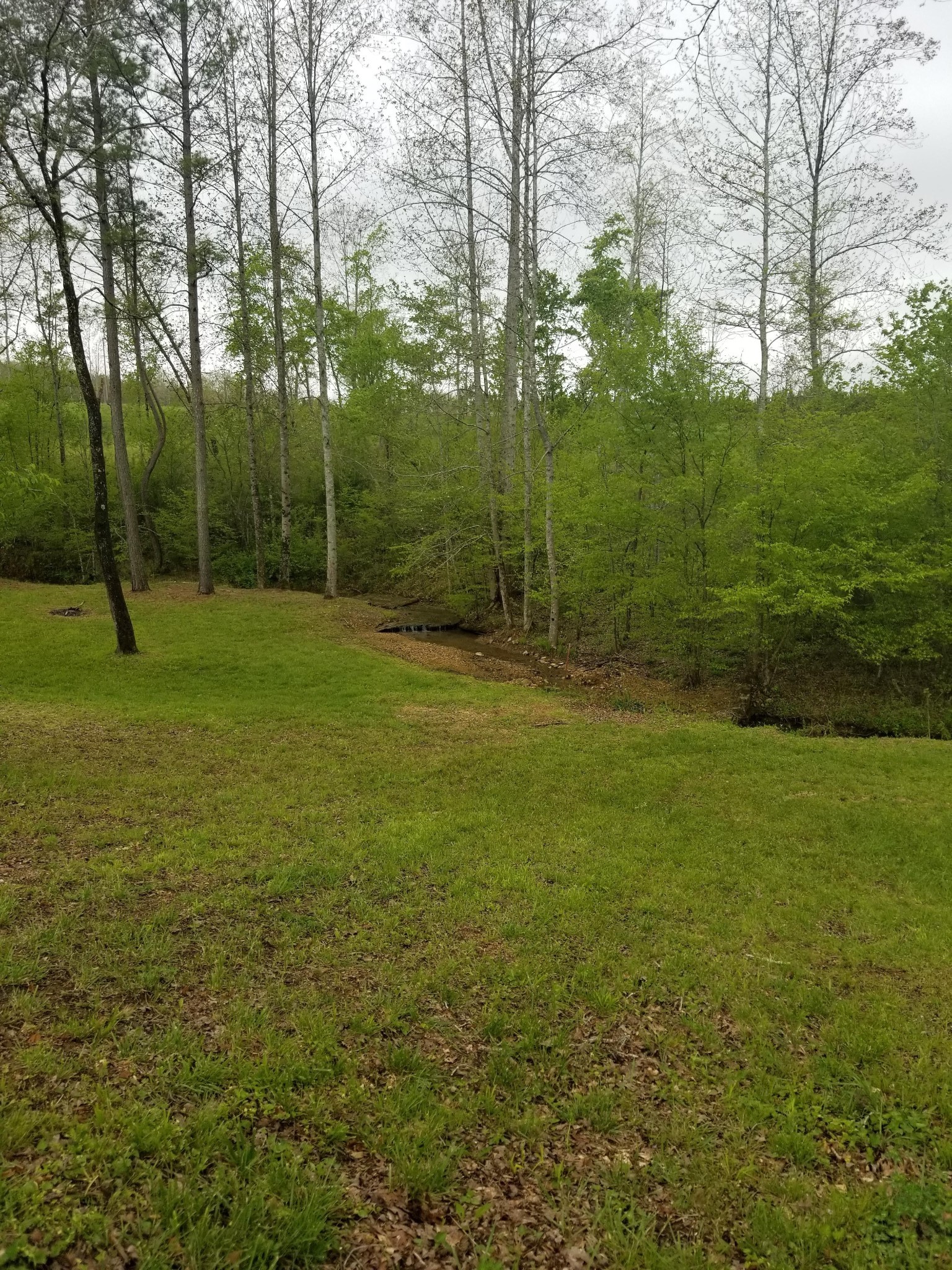 254 Robert Hensley Road Hohenwald, TN 38462 - Photo 6 of 33 Gallery Image 6