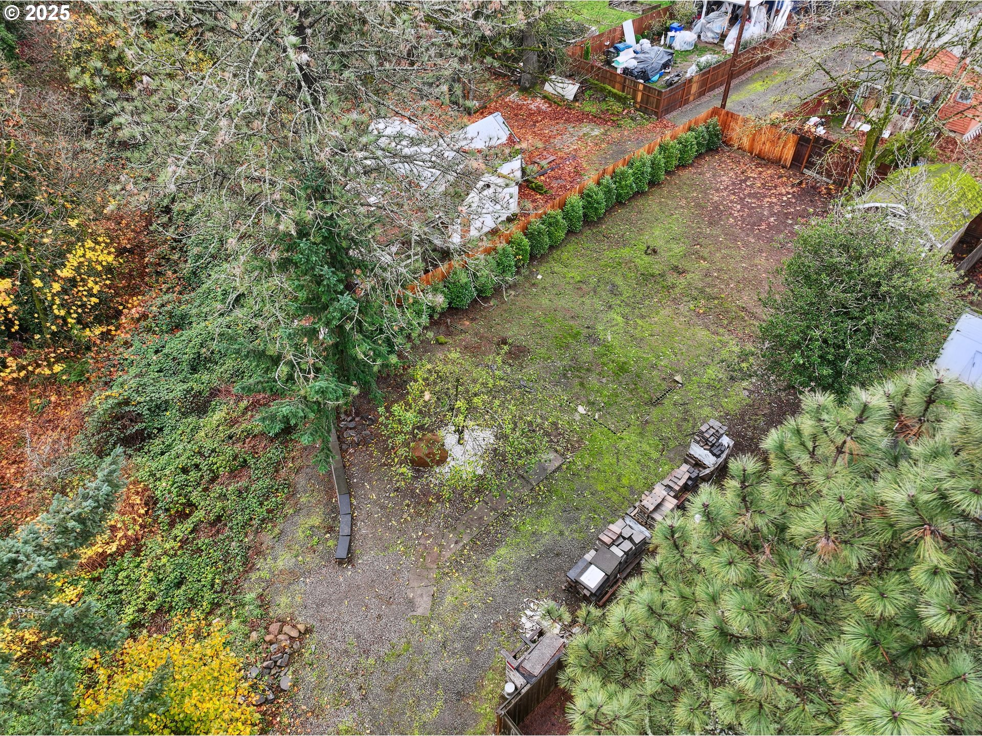a view of a yard with yellow plants