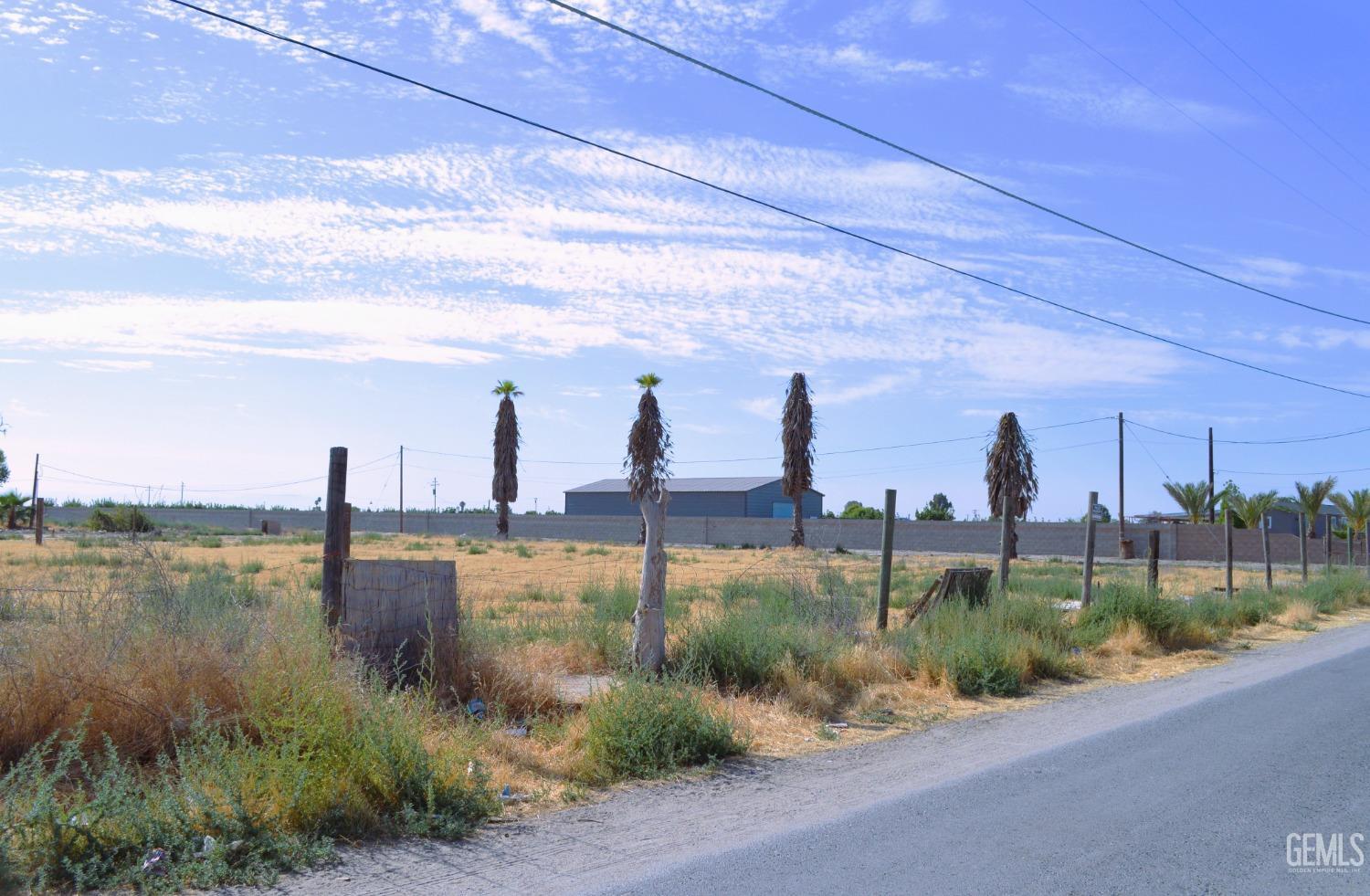 Undisclosed Address Alpaugh, CA 93201 - Photo 3 of 4 a view of a lake with a big yard and a large tree