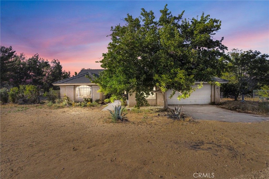 6414 Nielson Road Phelan, CA 92371 - Photo 2 of 74 a view of a house with a tree and plant