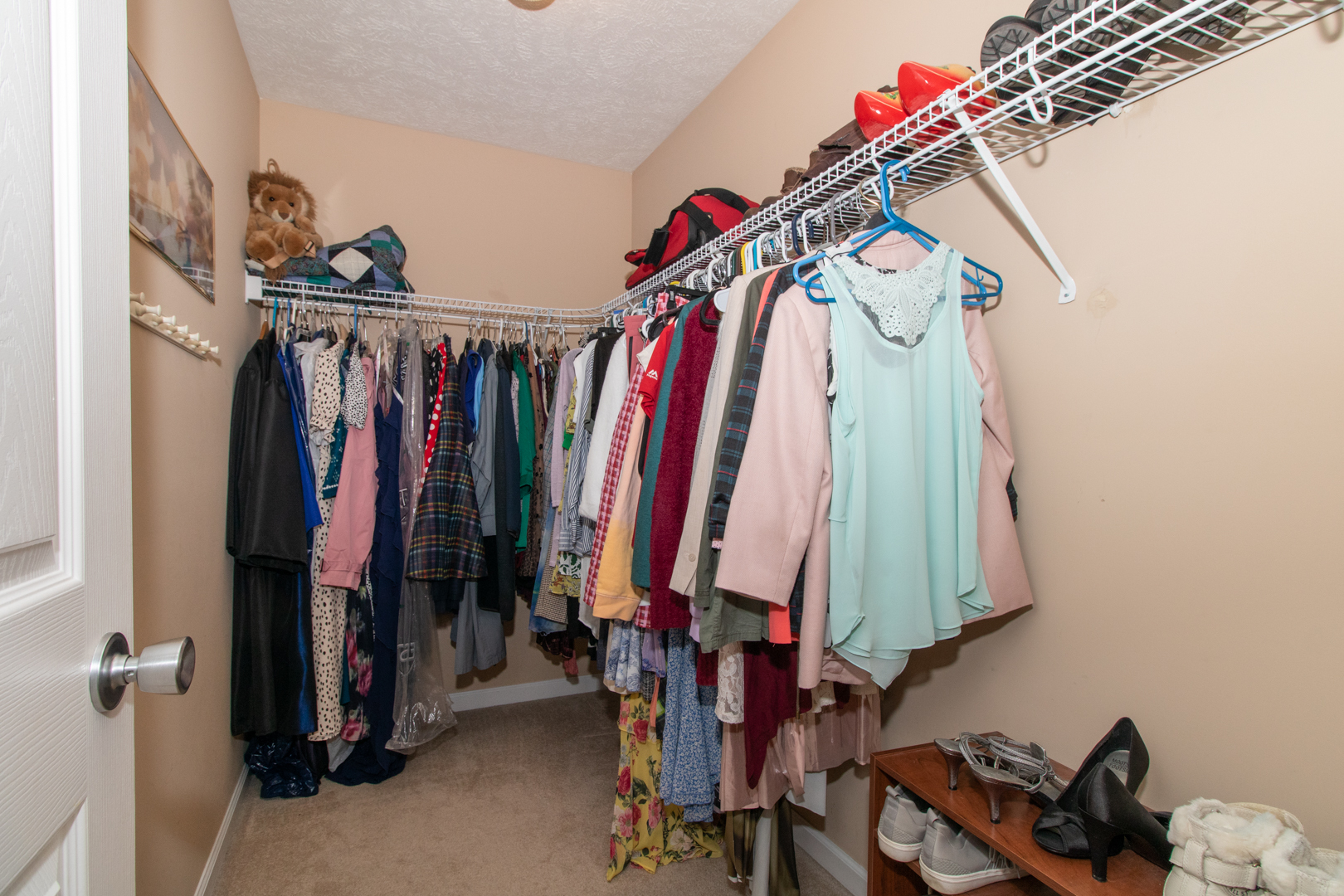 2973 Three Eagles Street Normal, IL 61761 - Photo 29 of 56 a view of a walk in closet