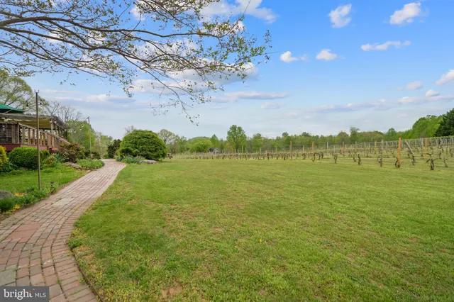 a view of a basketball court