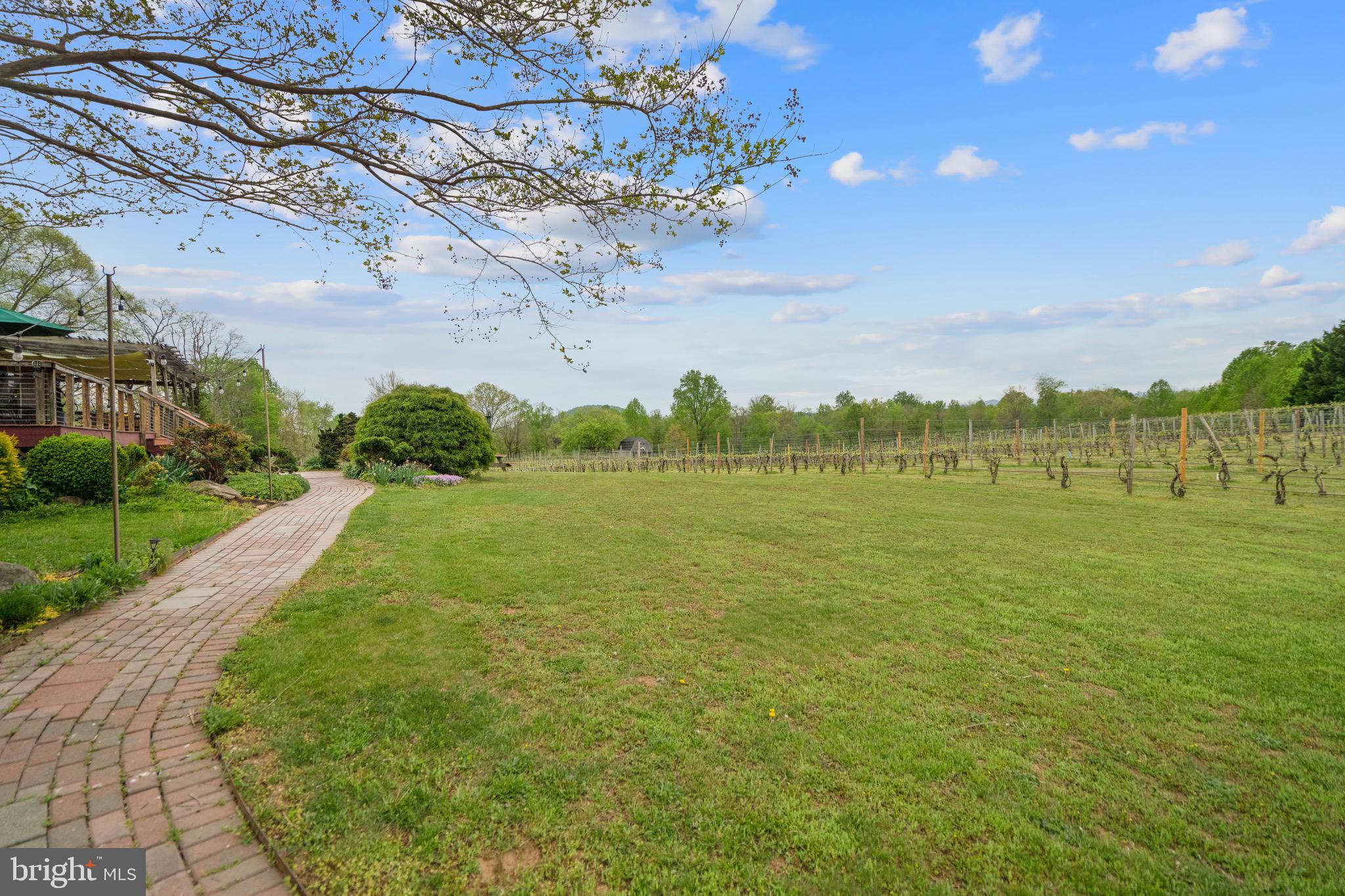 92 School House Road Washington, VA 22747 - Photo 27 of 68 a view of a lake with a big yard