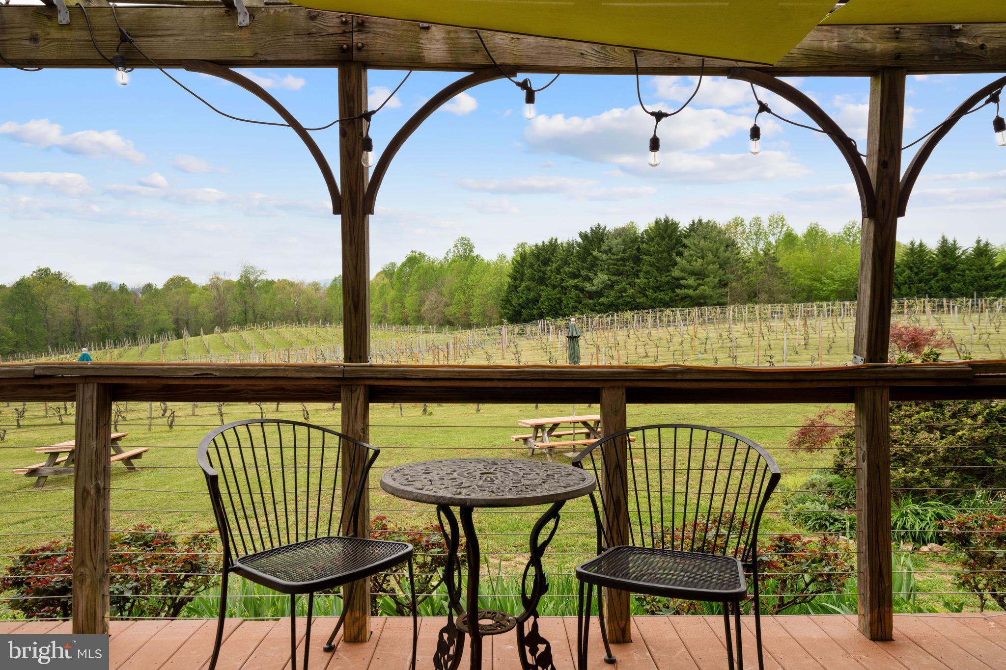 92 School House Road Washington, VA 22747 - Photo 32 of 68 a view of trees and outdoor seating