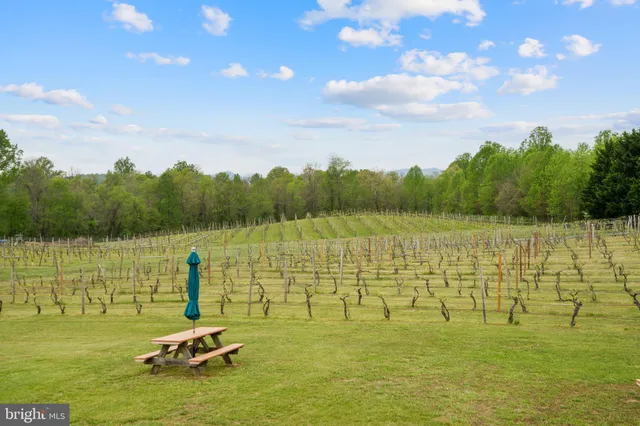 a living room with fireplace furniture and a large window