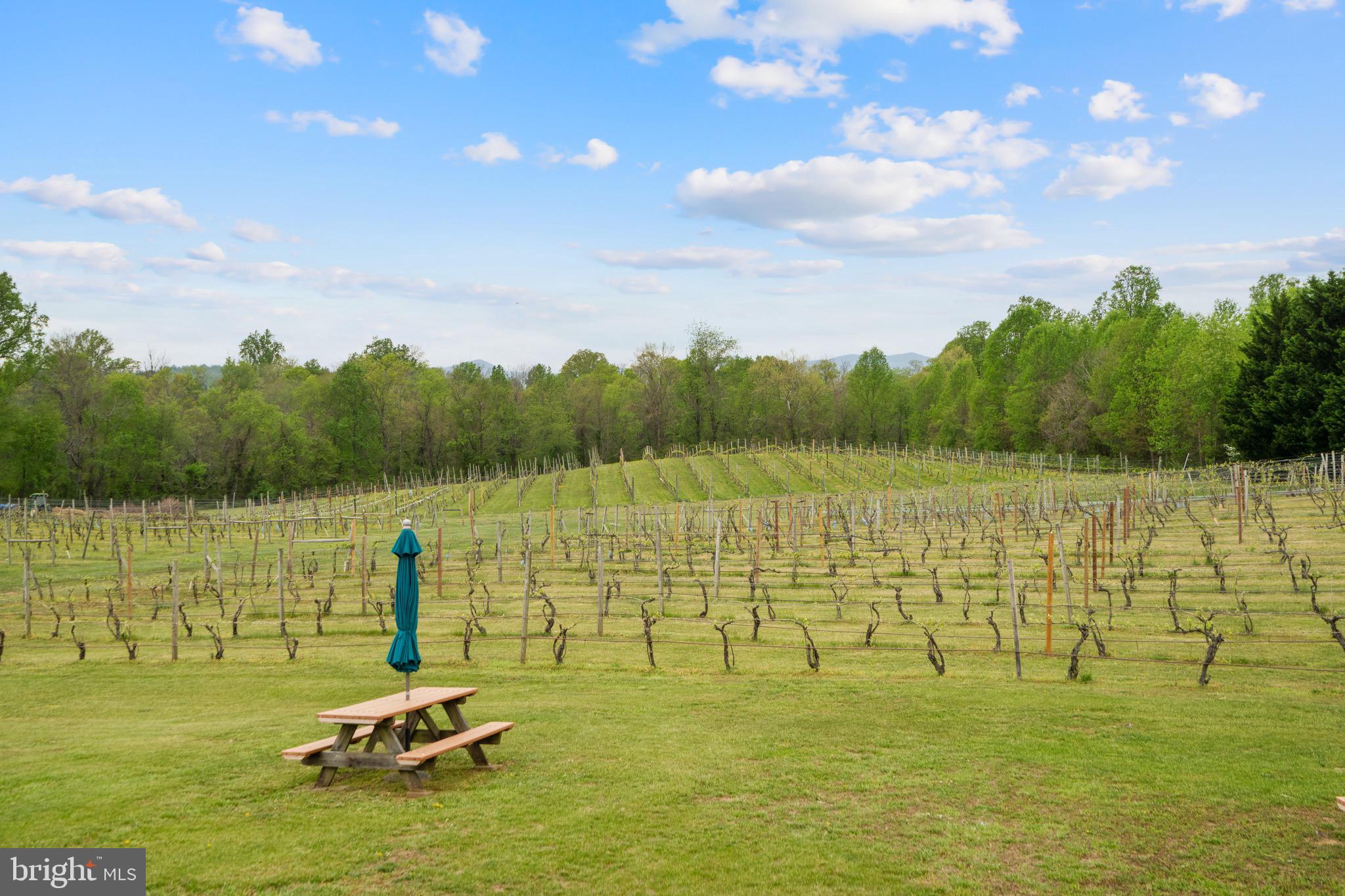 92 School House Road Washington, VA 22747 - Photo 34 of 68