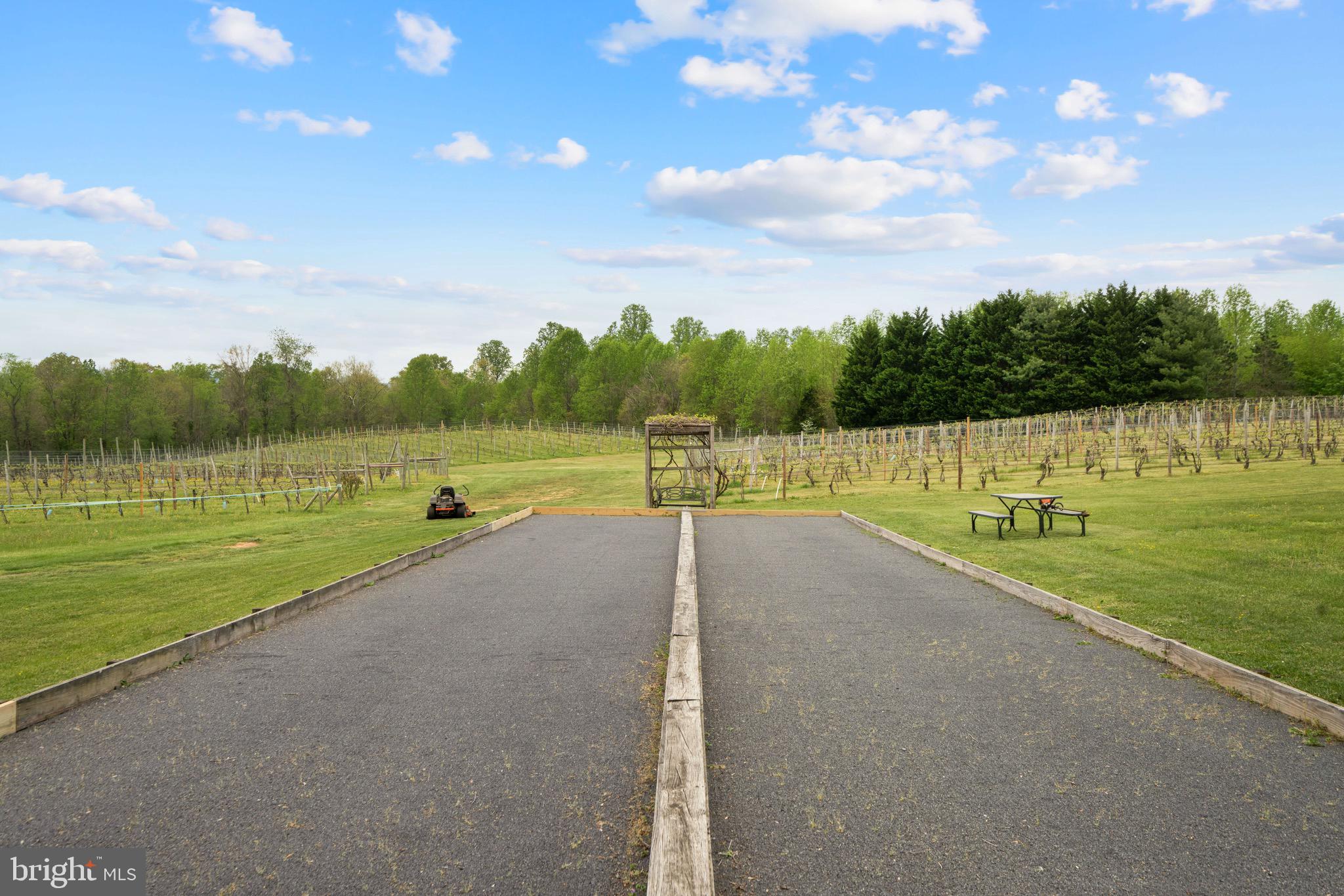92 School House Road Washington, VA 22747 - Photo 36 of 68 a view of a lake with a big yard