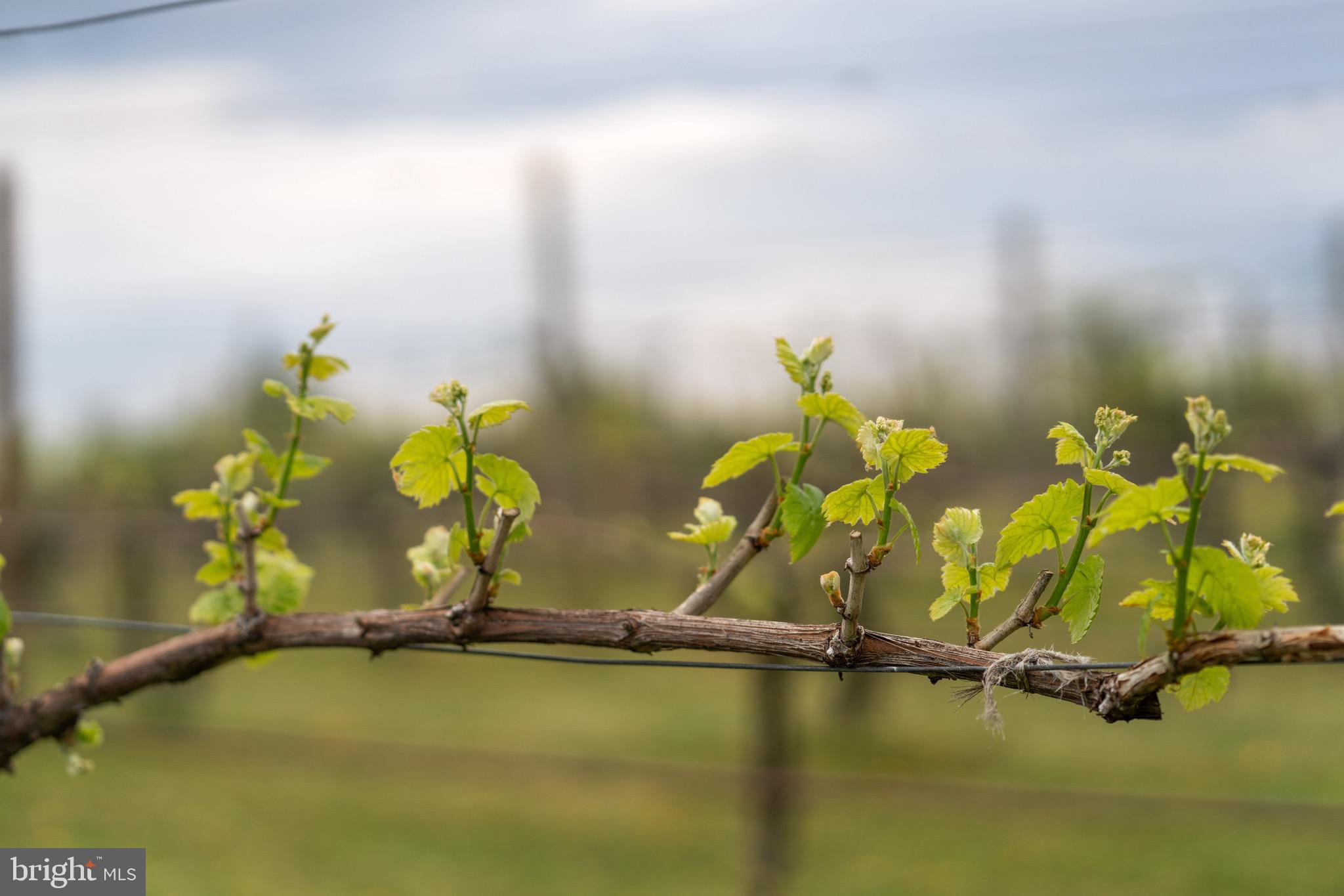 92 School House Road Washington, VA 22747 - Photo 38 of 68 a room with gym equipment and large windows