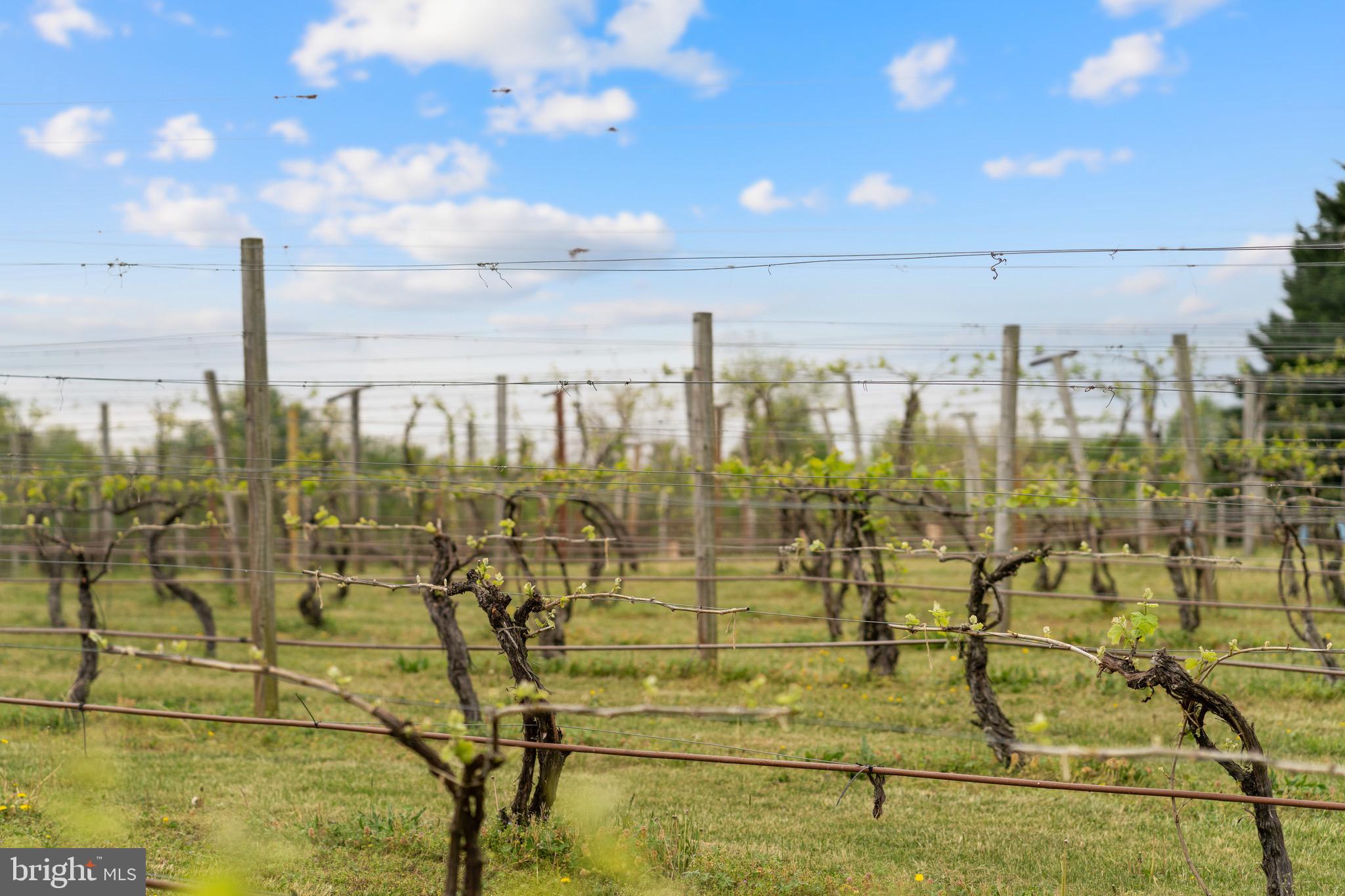 92 School House Road Washington, VA 22747 - Photo 39 of 68