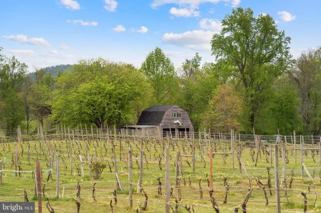 a bedroom with two beds and a large window