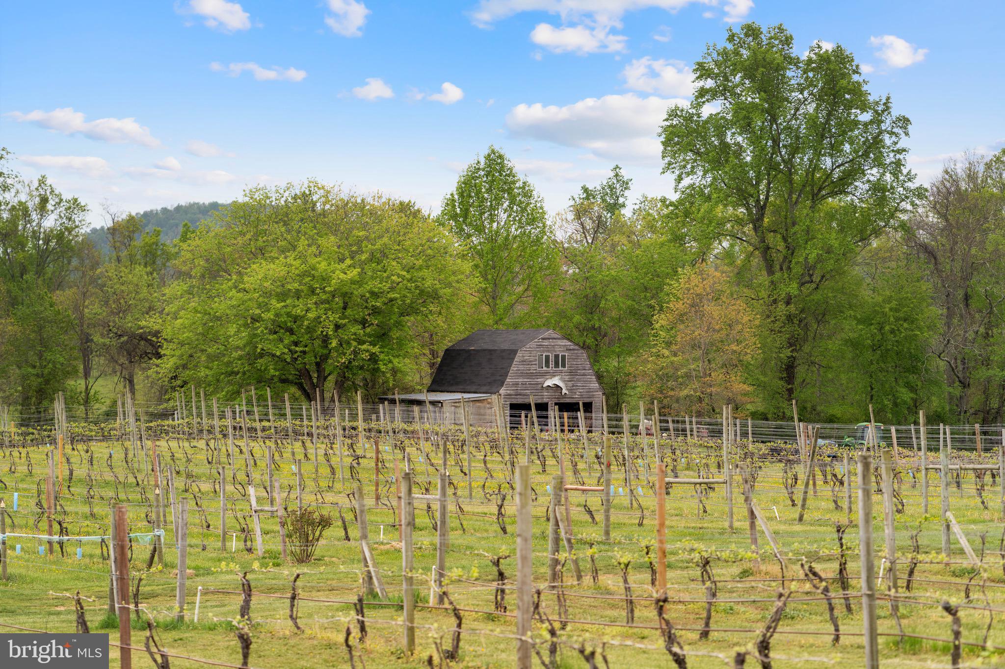 92 School House Road Washington, VA 22747 - Photo 41 of 68 a backyard of a house with table and chairs