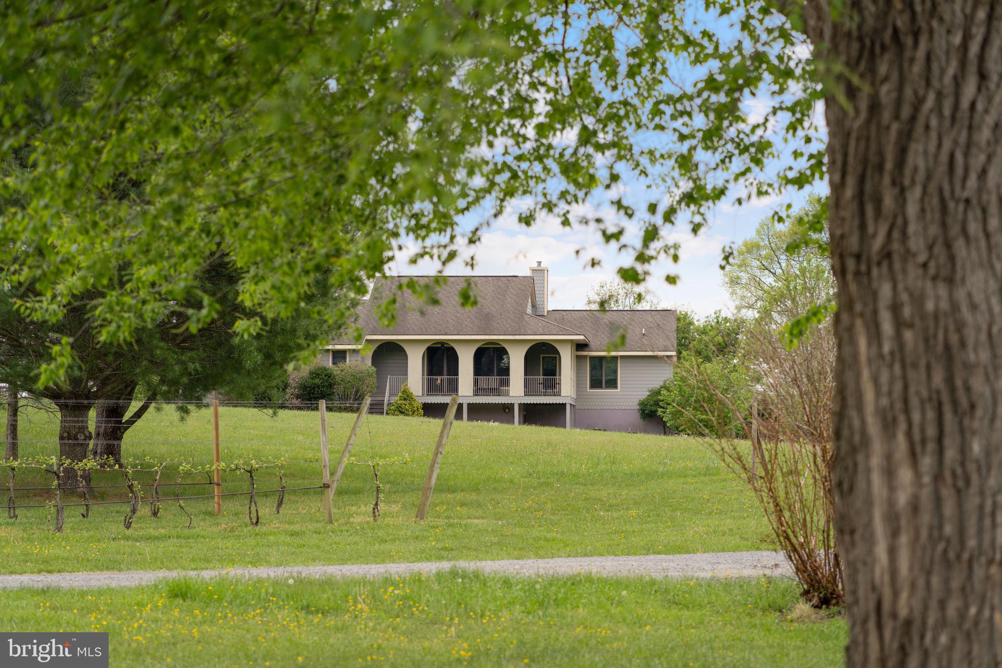 92 School House Road Washington, VA 22747 - Photo 43 of 68 a view of a house with a backyard