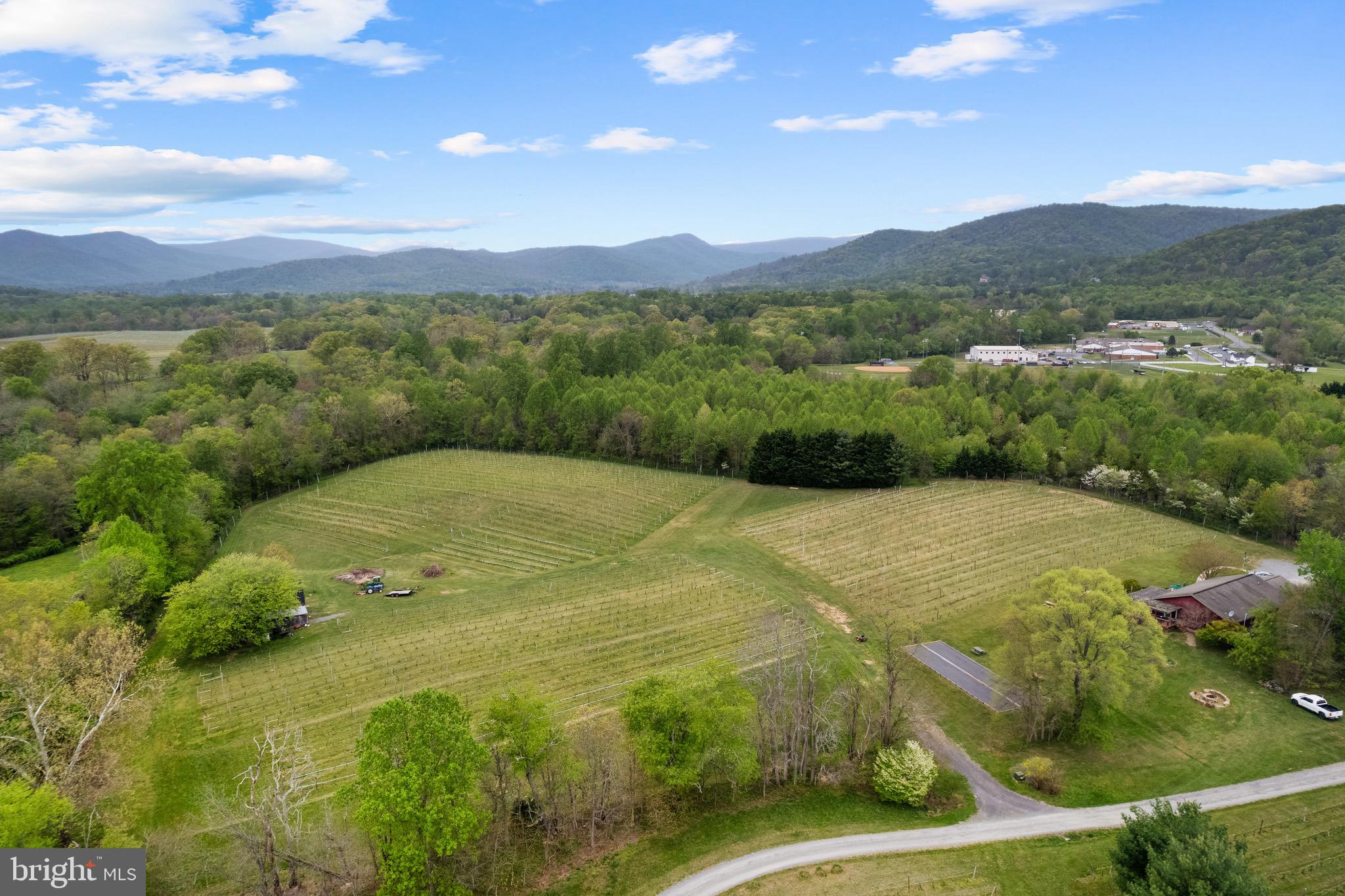 92 School House Road Washington, VA 22747 - Photo 5 of 68 a view of a lush green hillside and houses
