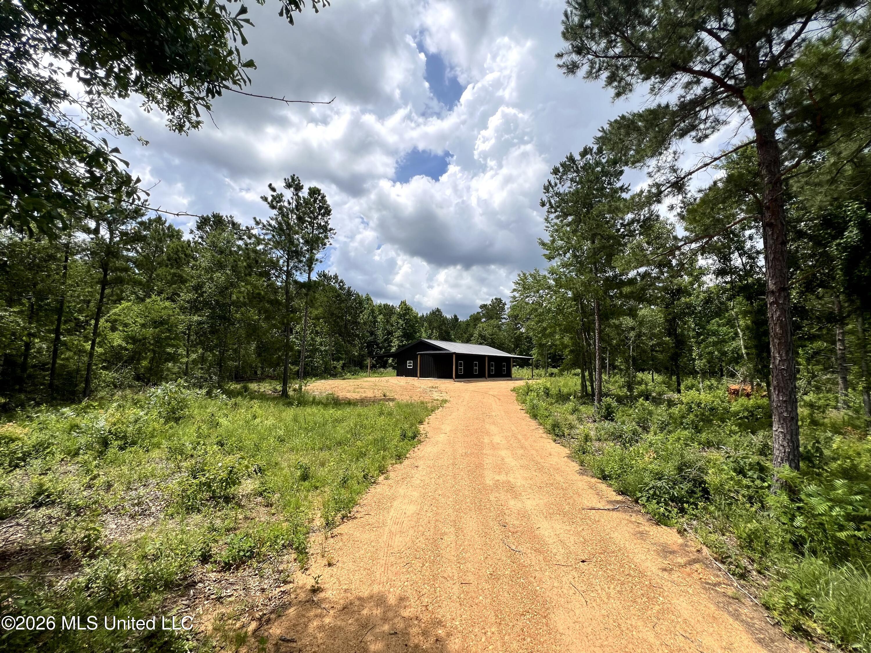 169 Holmesville Road Jayess, MS 39641 - Photo 11 of 12 IMG_6083