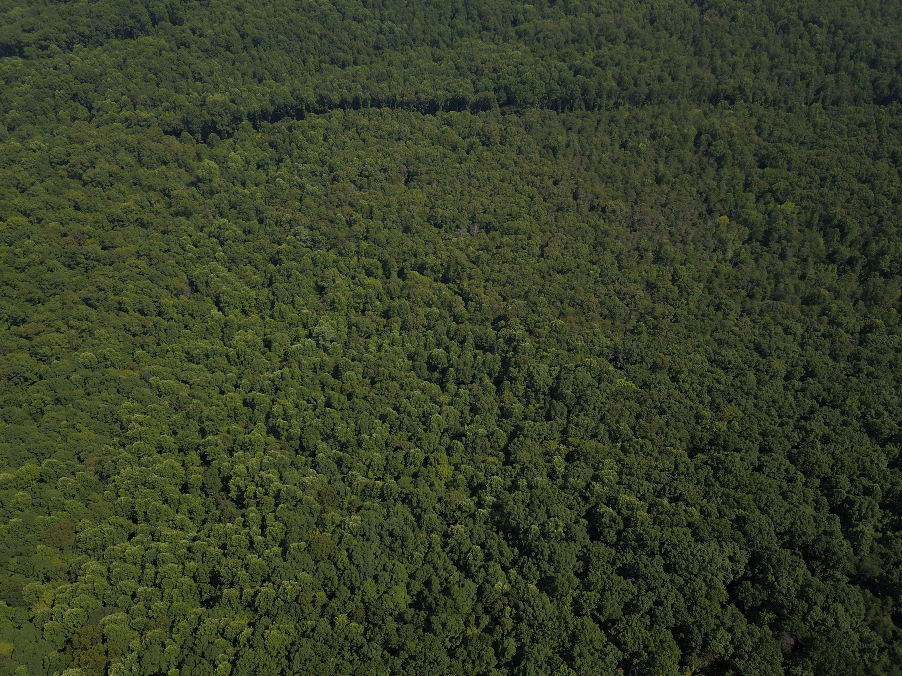 0 Braxton Ridge Road Amherst, VA 24521 - Photo 5 of 16 a view of a field