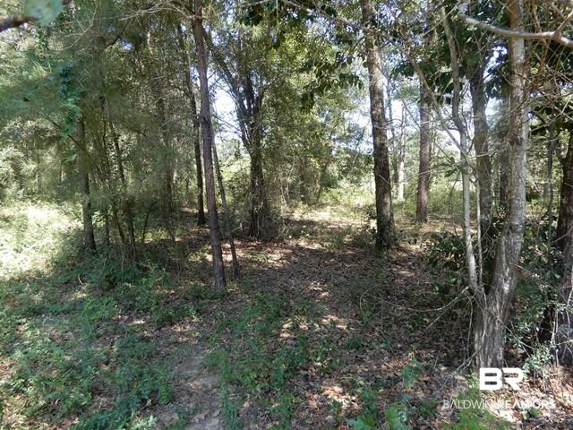 1400-block Old Atmore Road Flomaton, AL 36441 - Photo 10 of 20