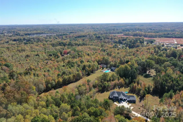 a view of tree next to a yard