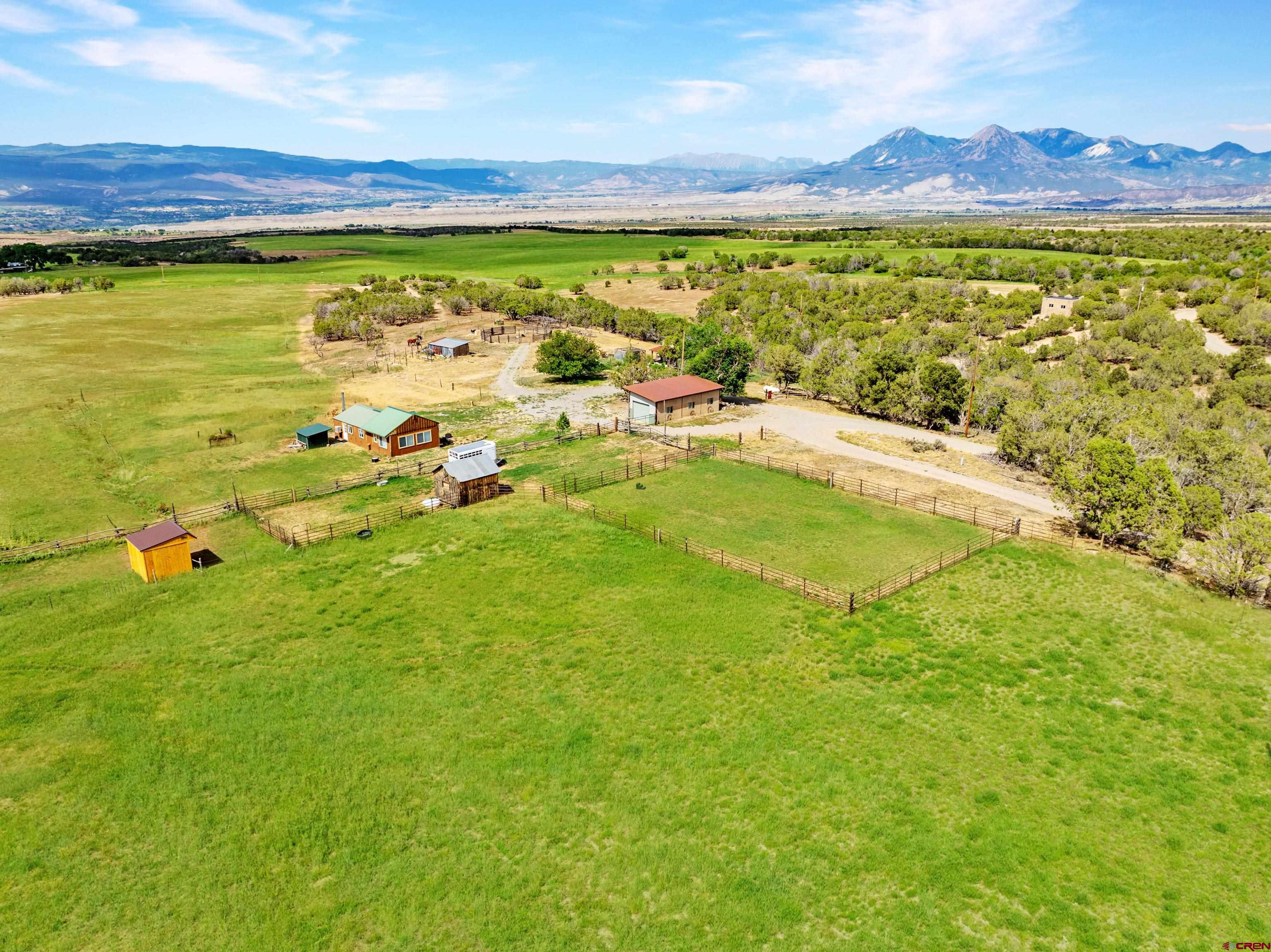 31807 B50 Road Crawford, CO 81415 - Photo 2 of 44