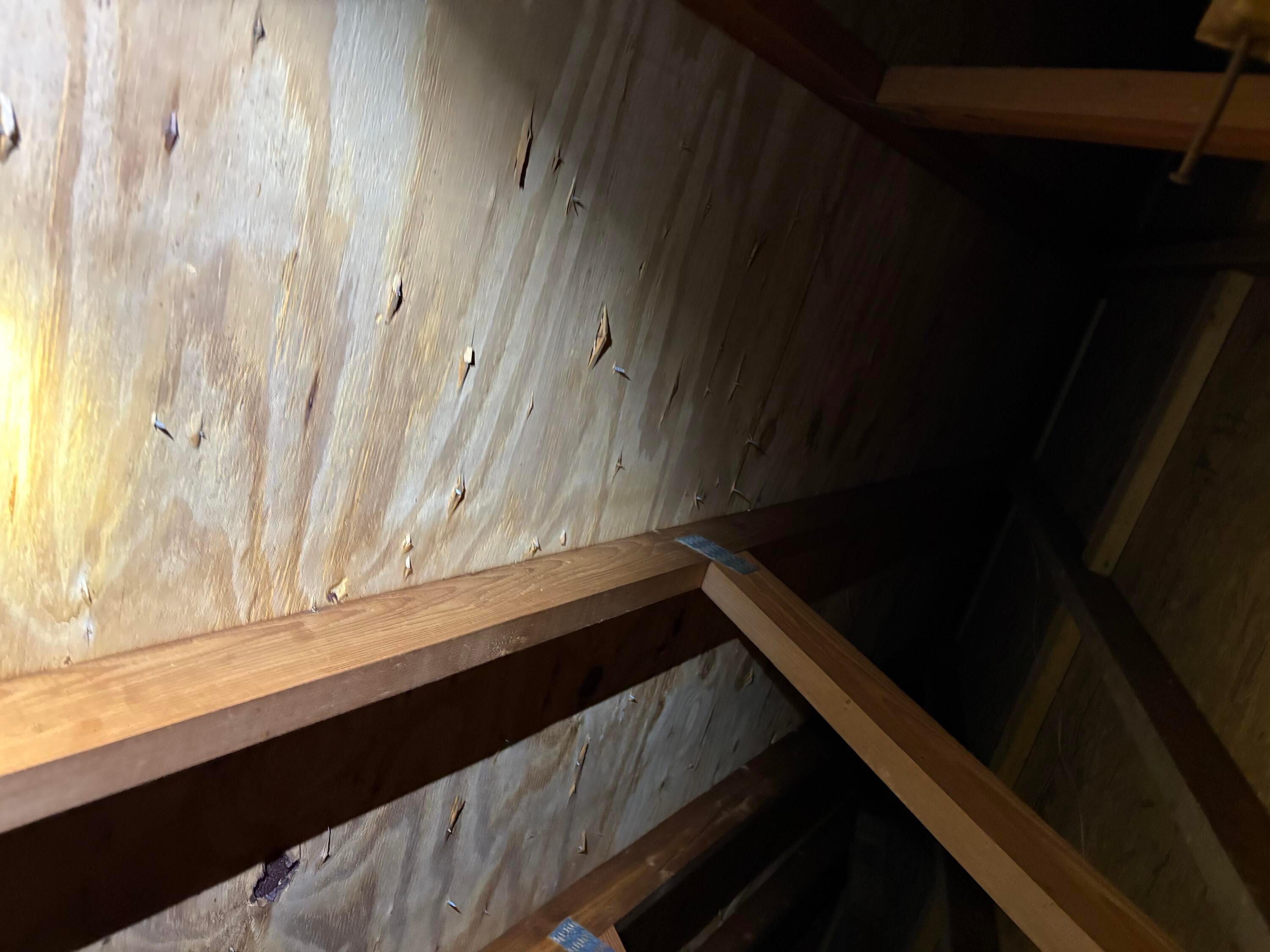 7394 Crag Road Rainelle, WV 25962 - Photo 41 of 41 attic