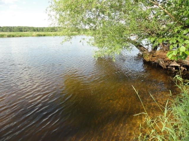 Lot 26 Lalor Montello, WI 53949 - Photo 11 of 12