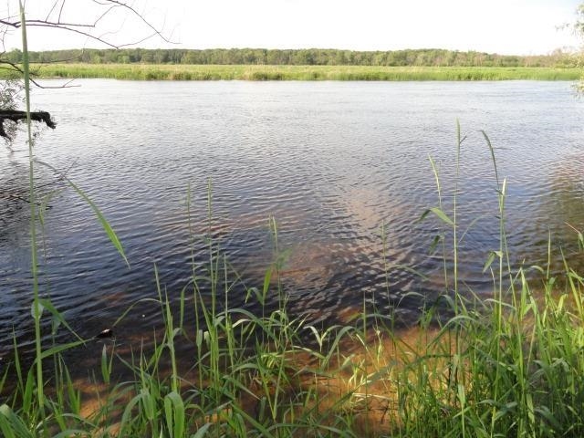 Lot 26 Lalor Montello, WI 53949 - Photo 12 of 12