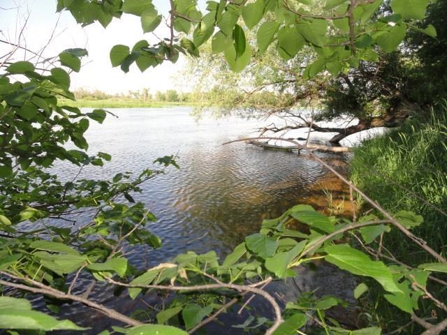 Lot 26 Lalor Montello, WI 53949 - Photo 10 of 12