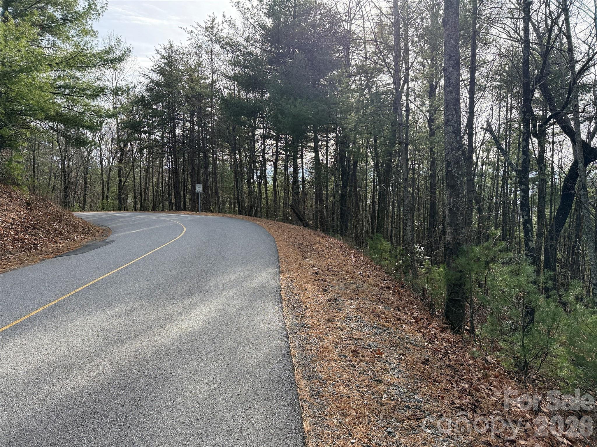 Tbd Buck Mountain Road, Unit 21 Purlear, NC 28665 - Photo 18 of 43 Gallery Image 18