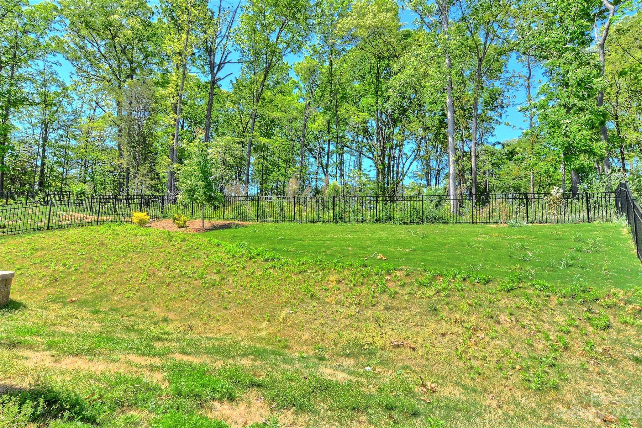 11266 Trailside Road Concord, NC 28027 - Photo 45 of 45 a view of a grassy field with trees