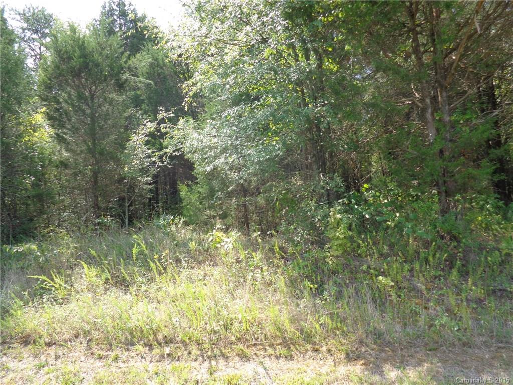 9213 Guildbrook Road Concord, NC 28027 - Photo 1 of 2 Gallery Image 1