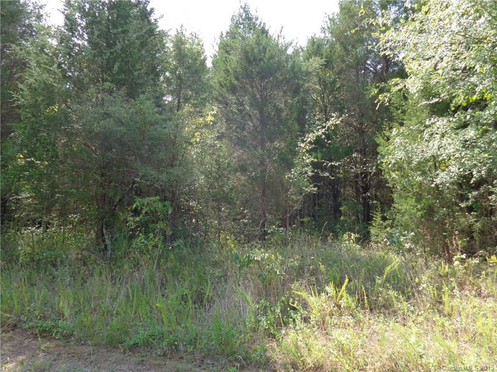 9213 Guildbrook Road Concord, NC 28027 - Photo 2 of 2 Gallery Image 2