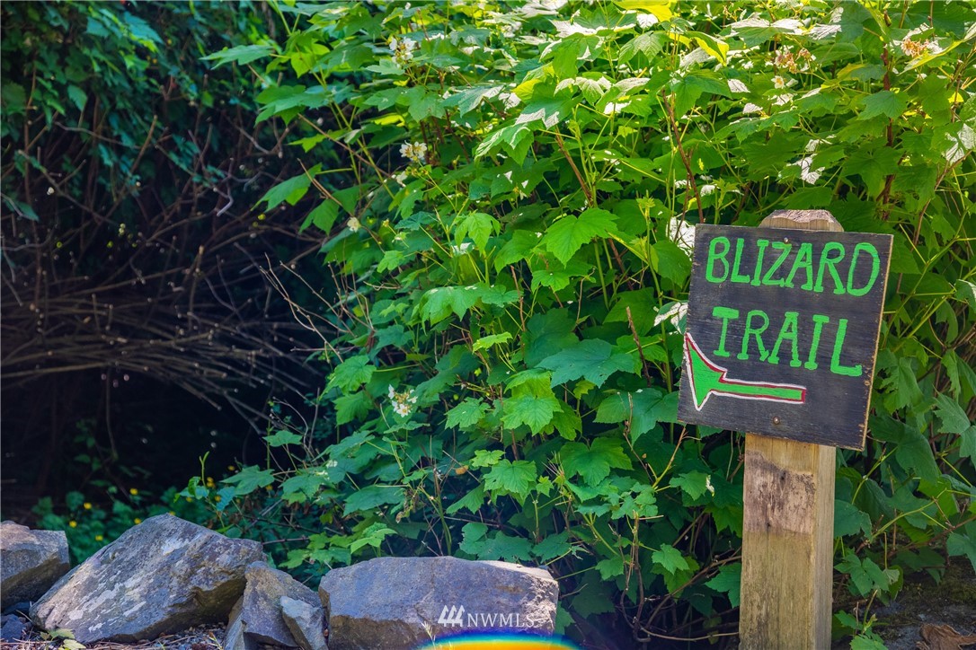 0 Blizard Road Lummi Island, WA 98262 - Photo 2 of 22