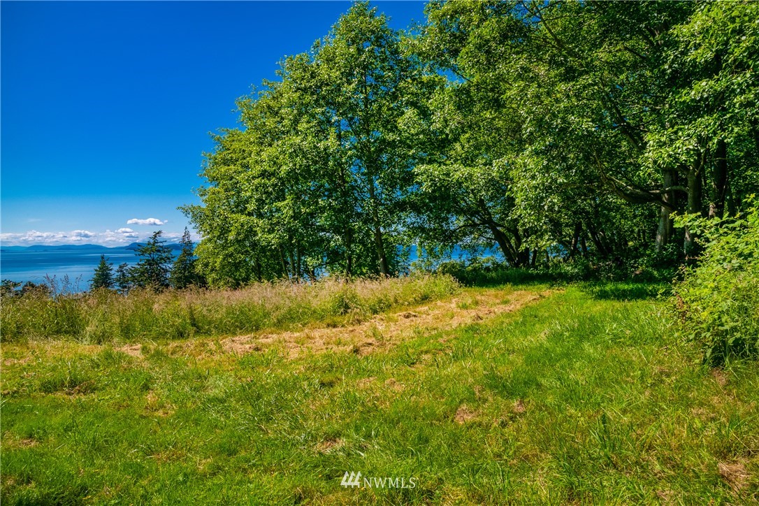 0 Blizard Road Lummi Island, WA 98262 - Photo 12 of 22 a view of a yard
