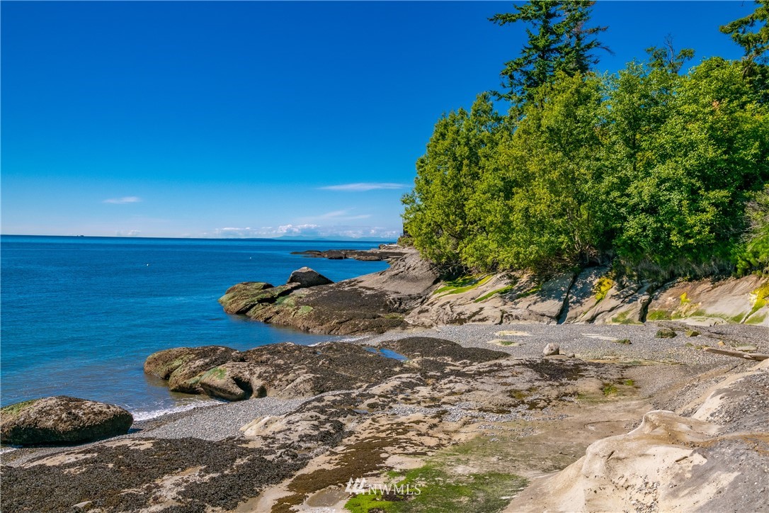 0 Blizard Road Lummi Island, WA 98262 - Photo 16 of 22 a view of a yard with some plants