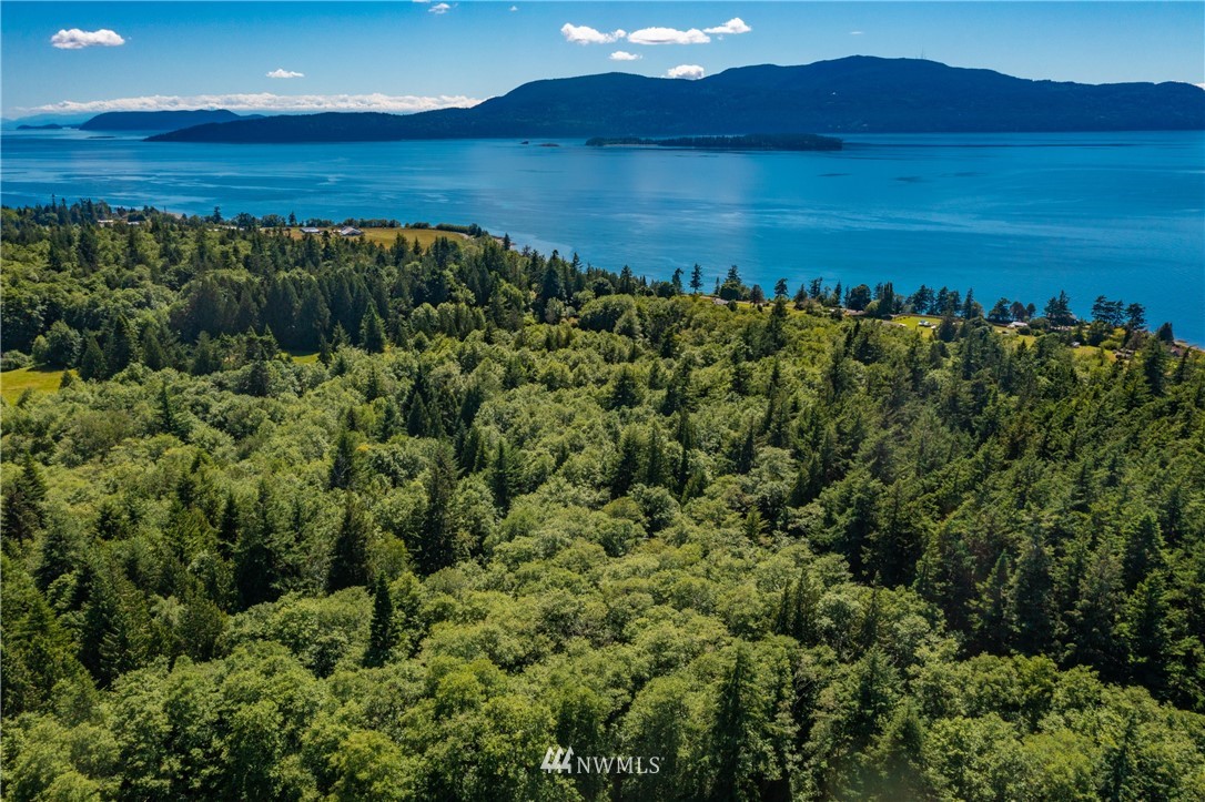 0 Blizard Road Lummi Island, WA 98262 - Photo 18 of 22