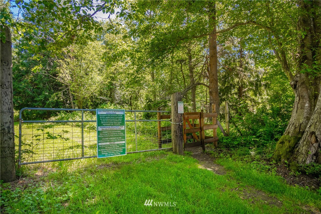 0 Blizard Road Lummi Island, WA 98262 - Photo 3 of 22 a view of a park with large trees