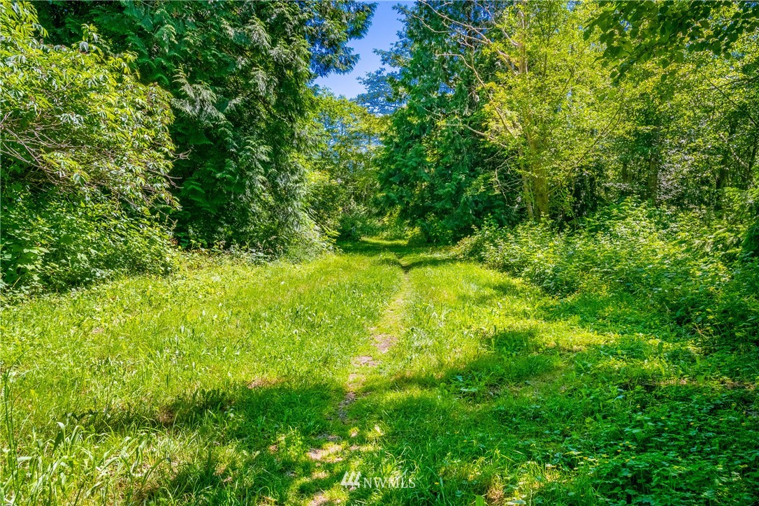 0 Blizard Road Lummi Island, WA 98262 - Photo 4 of 22