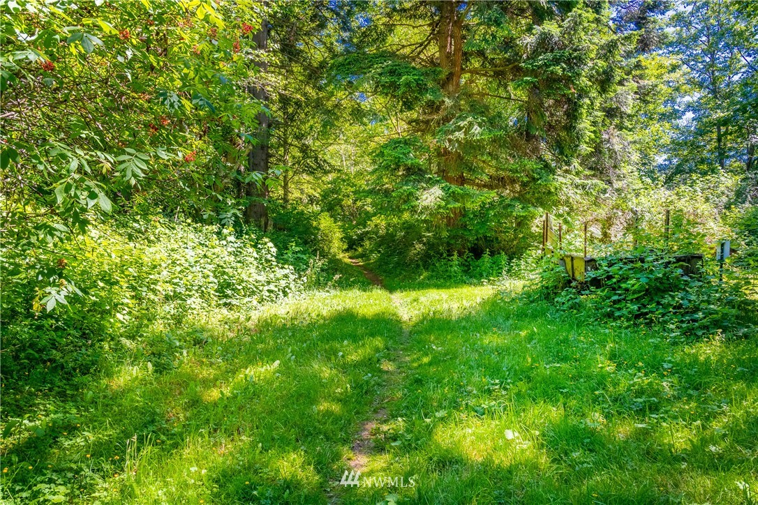 0 Blizard Road Lummi Island, WA 98262 - Photo 5 of 22 a view of a lush green space