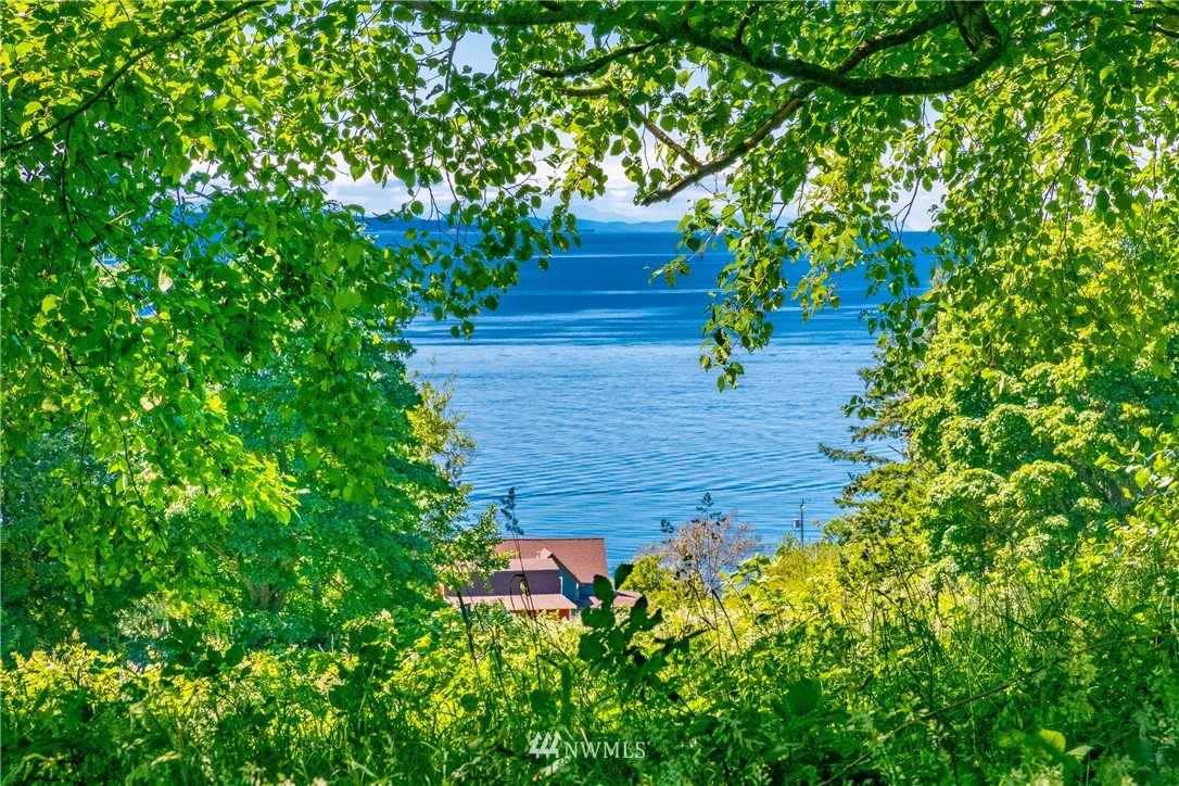 0 Blizard Road Lummi Island, WA 98262 - Photo 7 of 22 a view of backyard with plants and trees