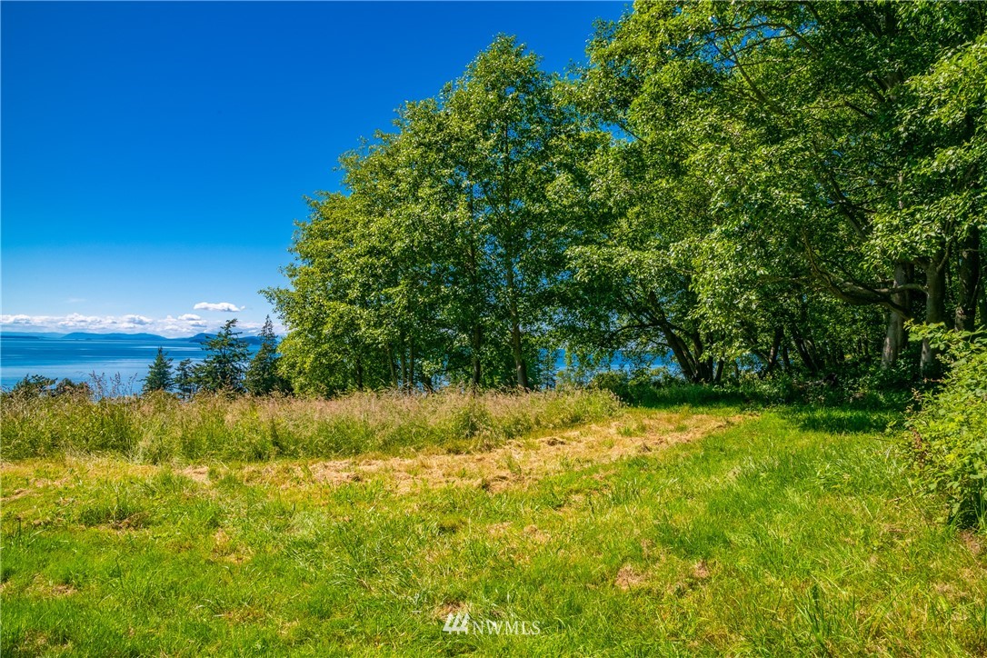 0 Blizard Road Lummi Island, WA 98262 - Photo 9 of 22 a view of a yard with large trees