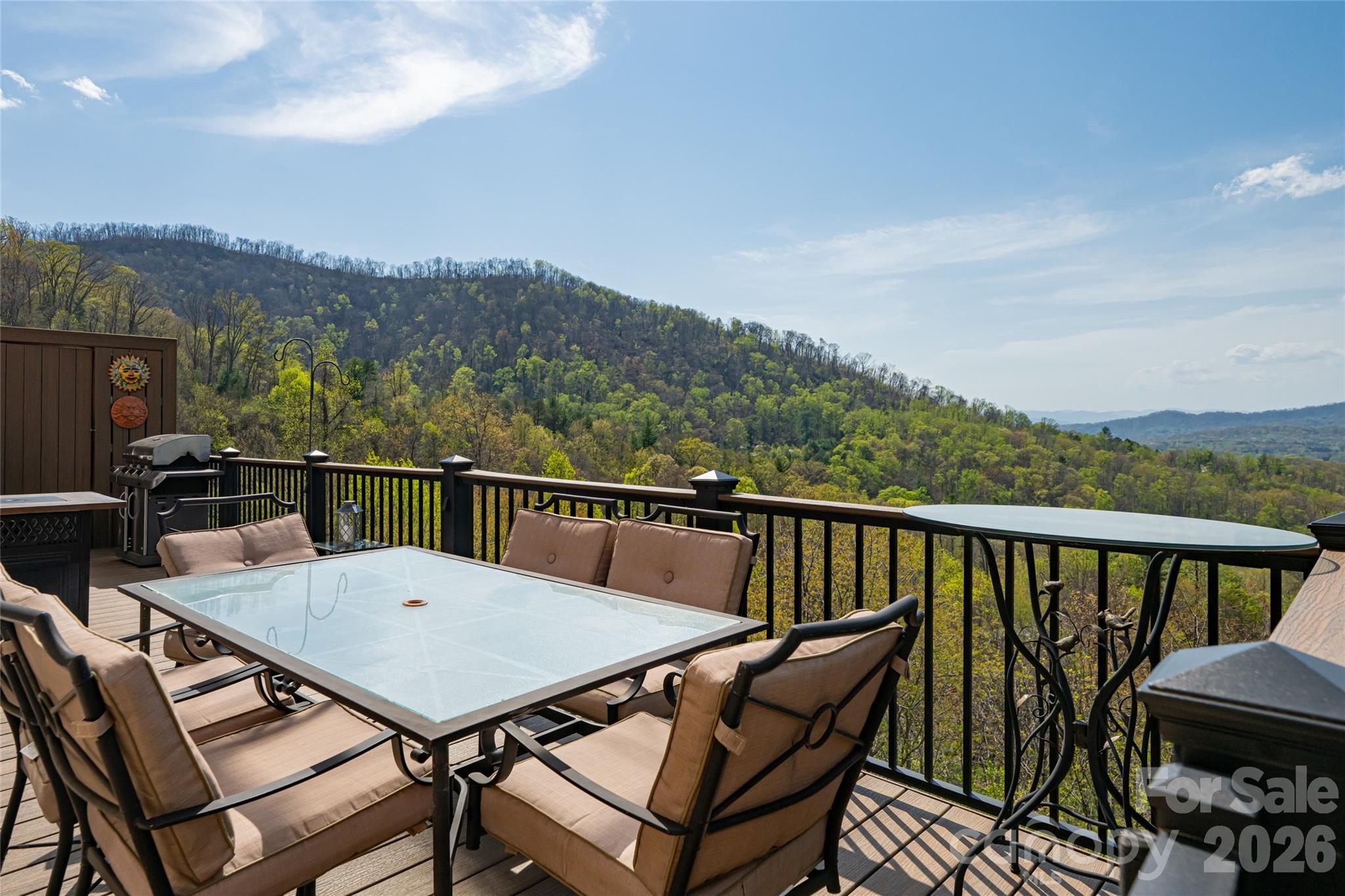 116 Dalya Road Swannanoa, NC 28778 - Photo 35 of 47