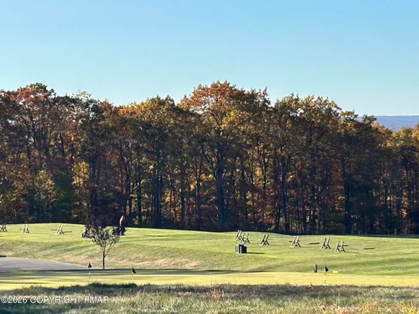 a view of road with large trees