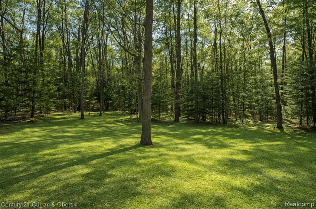 8135 Hillcrest Road Roscommon, MI 48653 - Photo 5 of 23