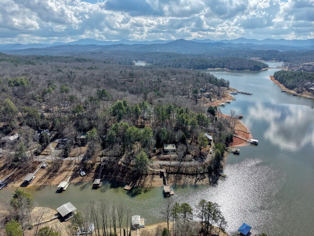 333 Reece Creek Road West Blairsville, GA 30512 - Photo 48 of 50