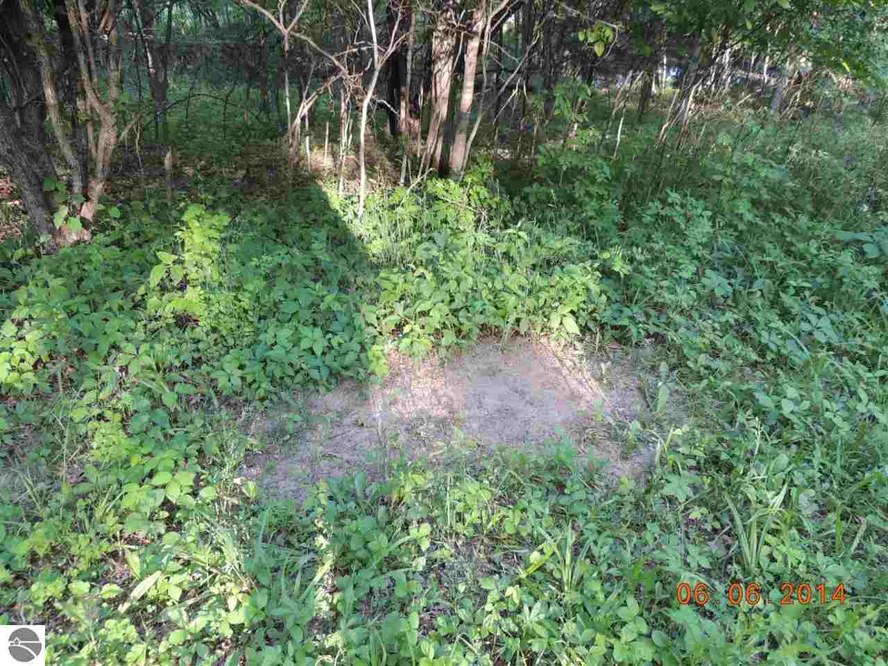 3070 South Warner Road Middleton, MI 48856 - Photo 30 of 36 1785781-29.JPG