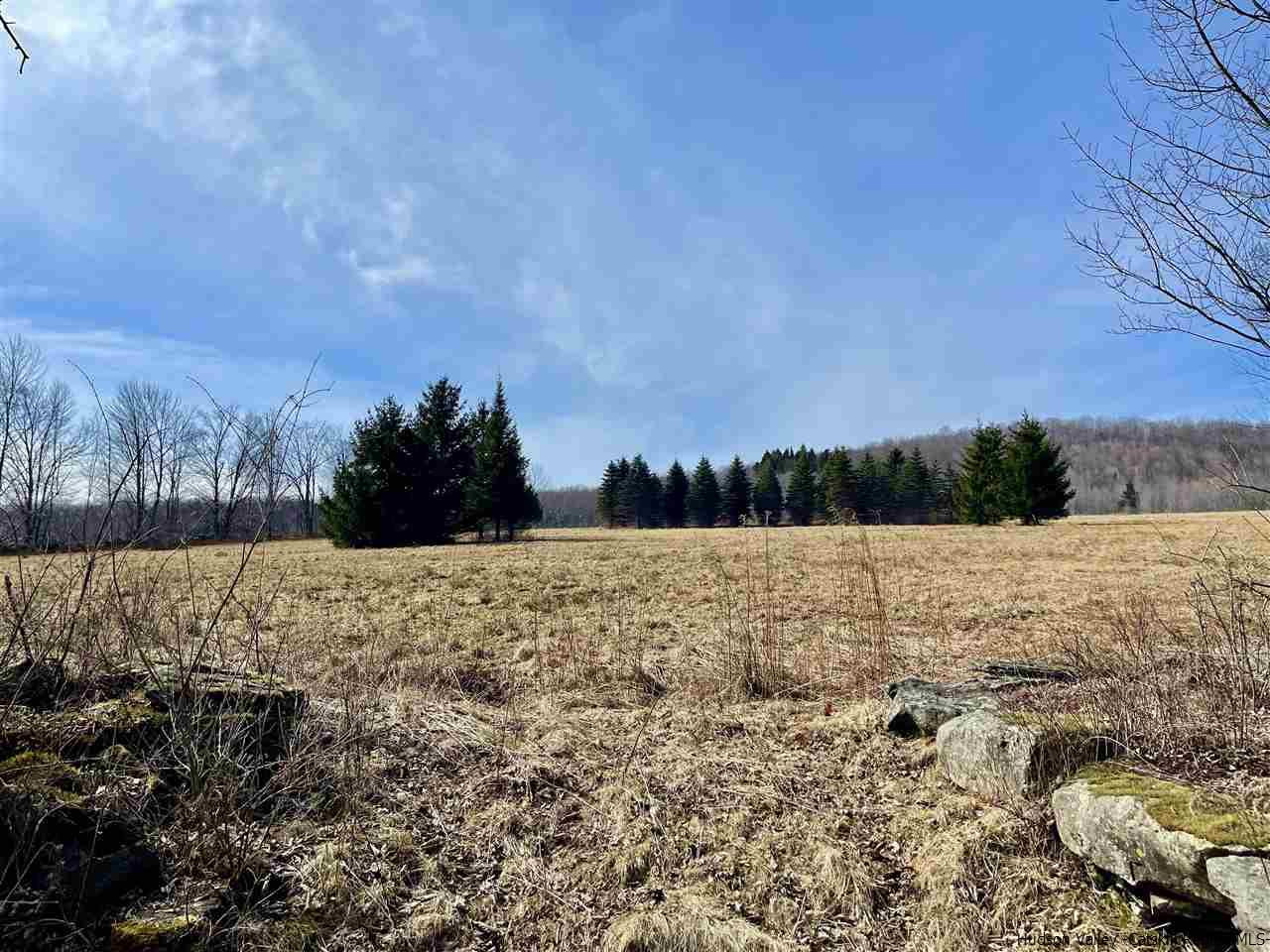 381 Denver Run Road Roxbury, NY 12421 - Photo 4 of 35 Photo 4