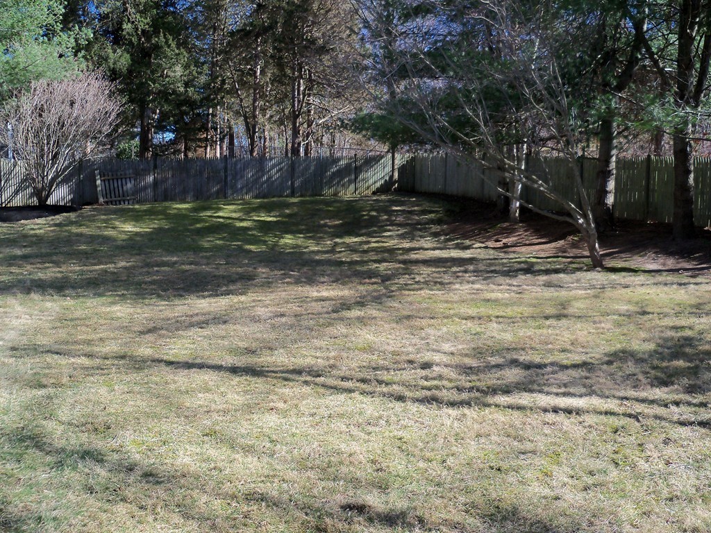 8 Hillcrest Road Canton, MA 02021 - Photo 6 of 29 a view of a backyard with trees