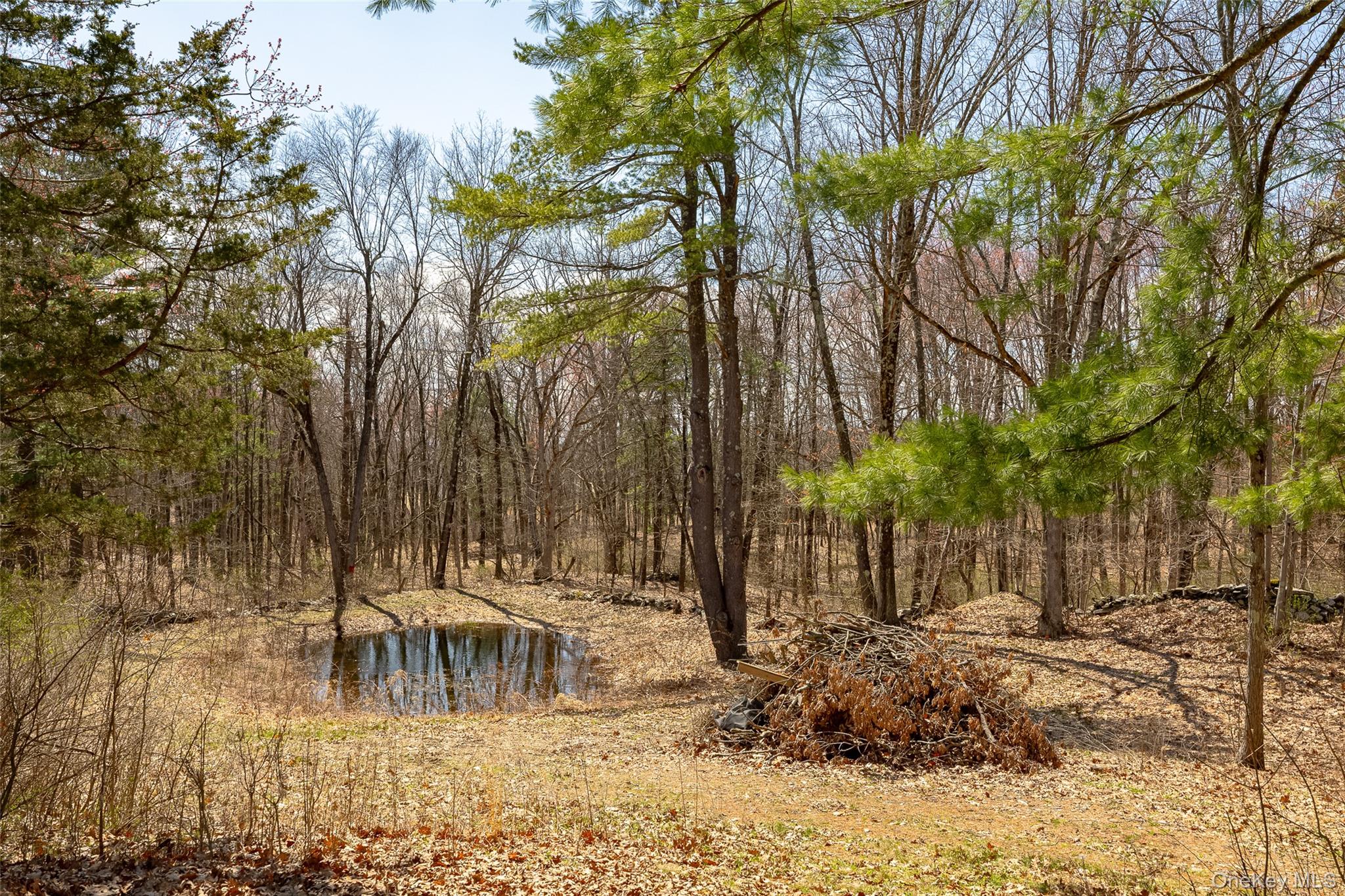 119 Becker Hill Road Red Hook, NY 12571 - Photo 39 of 43